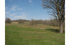 Property photo 57 - 137 Acres in 2 Tracts - 64 Tillable Acres, Potential Building Sites, Hunting